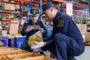 西南首单进口榴莲“1210保税备货”模式顺利通关