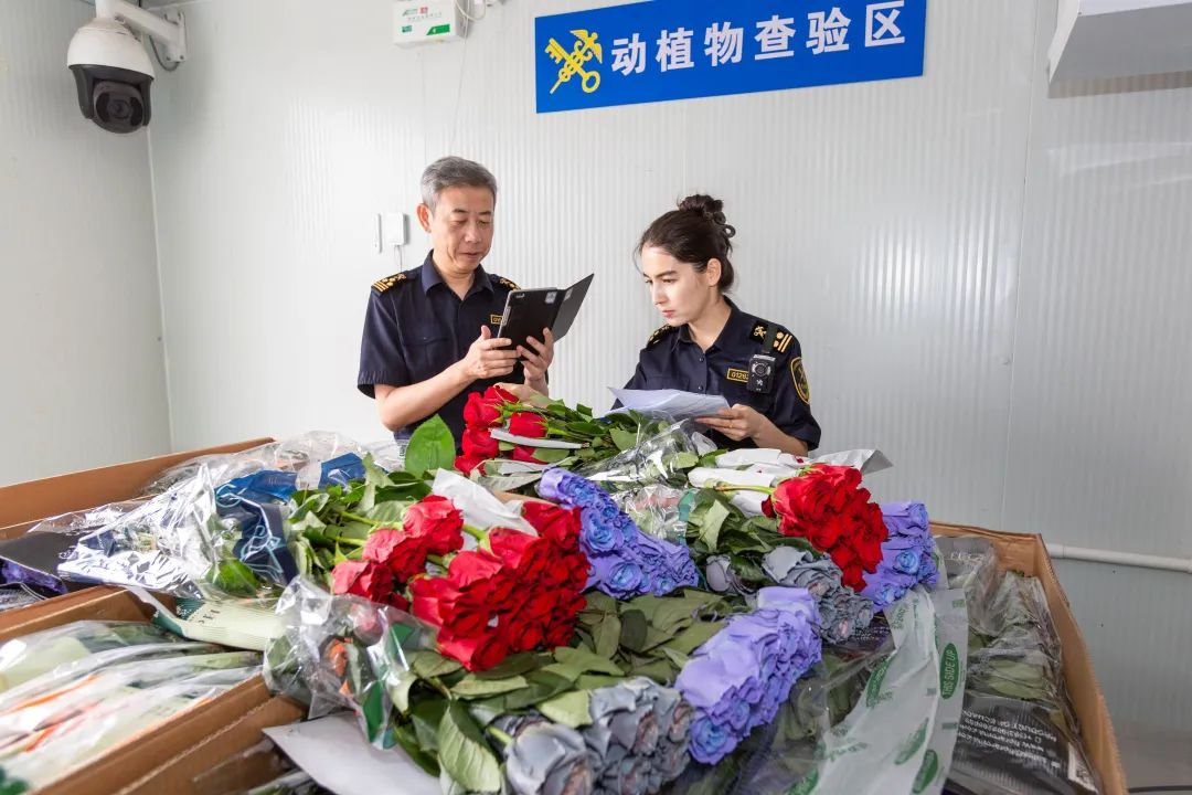 18.39万亿元！进口消费品市场红利加快释放